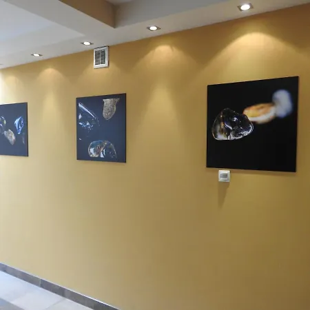 Appartamento Afrika *